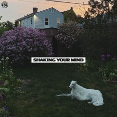 Bearings "Shaking Your Mind"