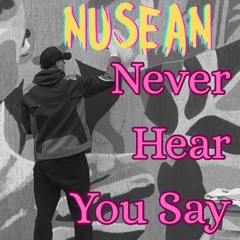 Never Hear You Say