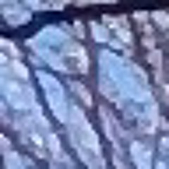 春に届けて(aesthetic mix)