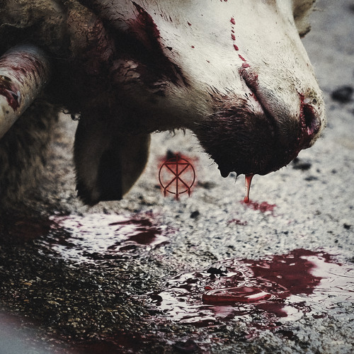 Protest & Sever (feat. Sam Crocker)