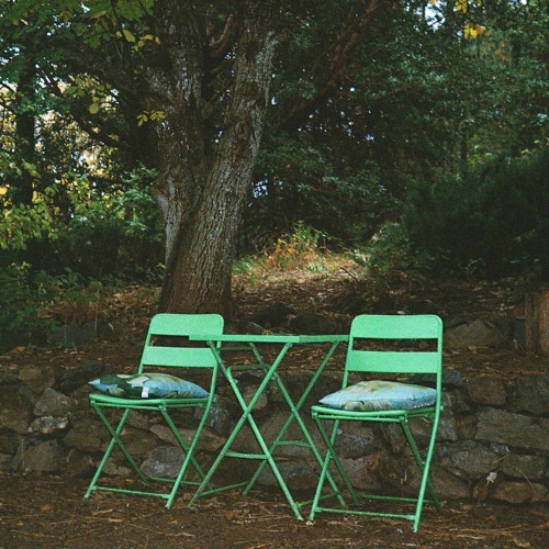 Sequoyah Fox - For You