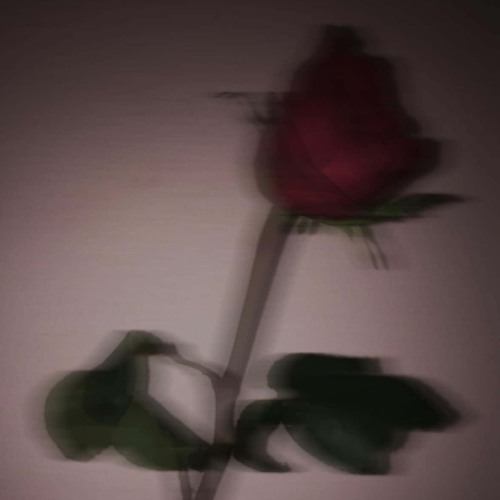 D4vd - Sleep Well - (Slowed + Reverb)