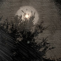 Hollow Words (feat. Slippy The Savior)