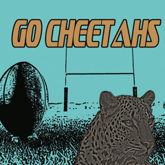 Go Cheetahs