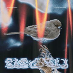 majesty snowbird (sufjan stevens cover)