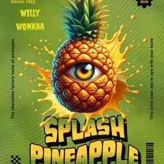 Splash PineApple Mix 1