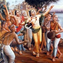 Ideaalne Sannyāsī