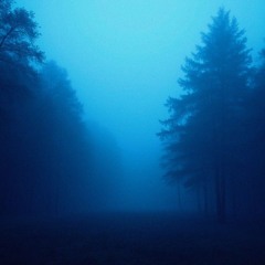 Inside of my Head - Snowflake