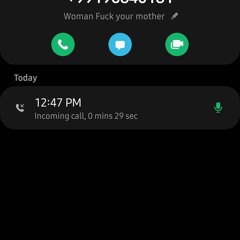 Harassment Call Fuck You, Fuck You, Fuck Your Mother 18Nov2024