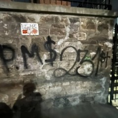 Y LA AMO 2025 SONIDO BRONX SALÓN DORADO HALL 2 BRONX NY