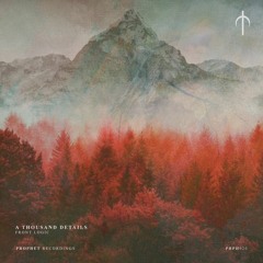 [PREMIERE] | A Thousand Details - Weight Carrier [PRPH020]