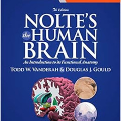 ACCESS KINDLE 📬 Nolte's The Human Brain: An Introduction to its Functional Anatomy b