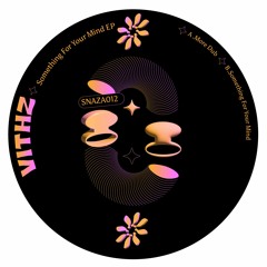 Vithz - Something For Your Mind EP [SNAZA012]