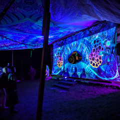 Groove into the night w/ TAEPSYLON @ Lipp In Festival 2025