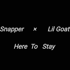 Young Snapper X Lil Goat Cally Here To Stay.mp3