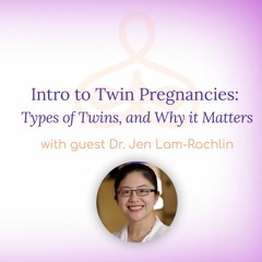 “Intro to Twin Pregnancies: Types of Twins, and Why it Matters” – with Dr. Jen Lam-Rachlin