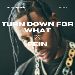 TURN DOWN FOR WHAT TO FEIN - TRAVIS SCOTT (EYWA EDIT)