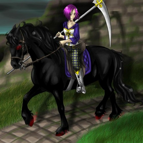 155 Pferde