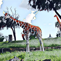 Giraffe in a Theme Park