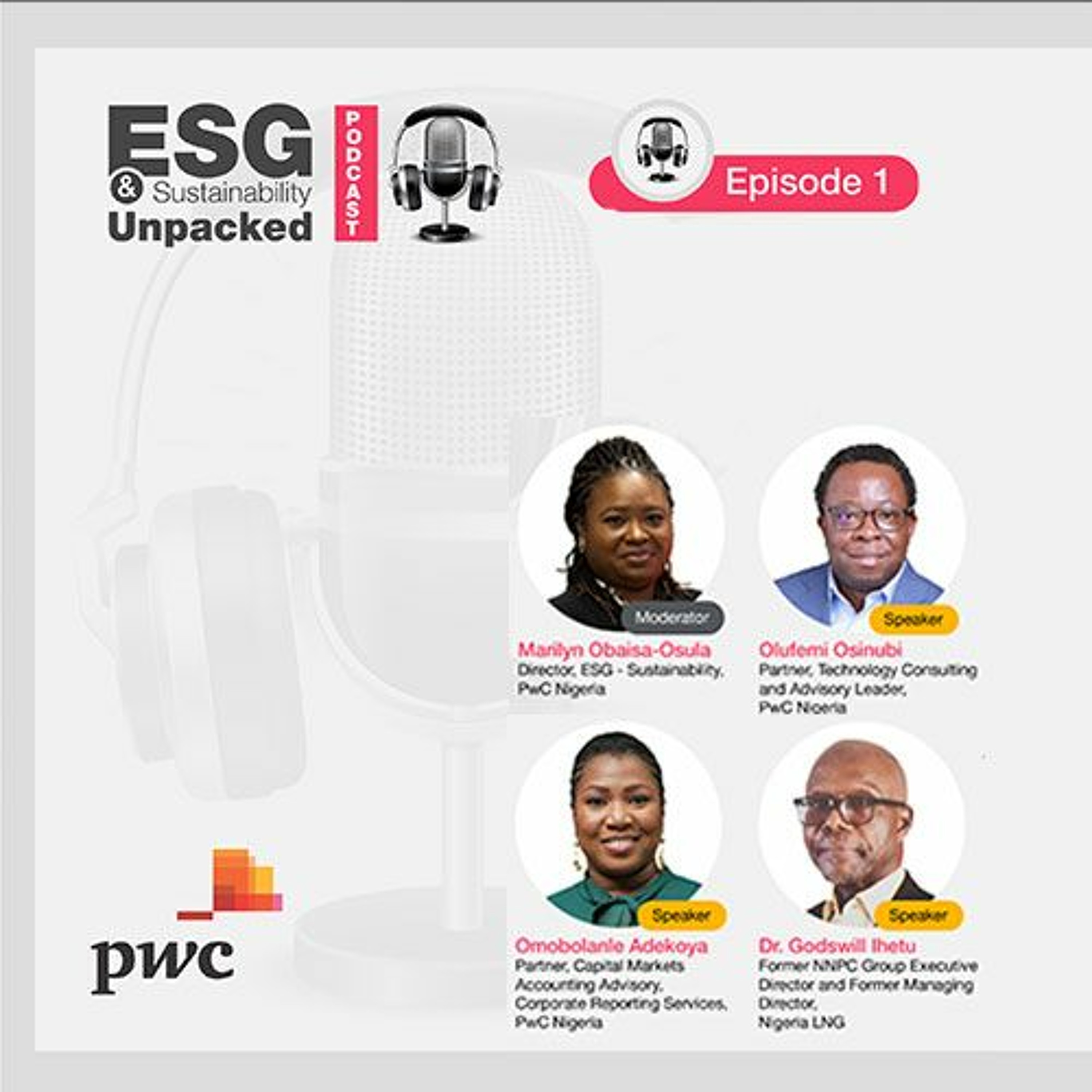 PwC Africa Podcasts