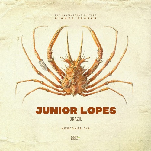 Junior Lopes @ Newcomer #048 - Brazil