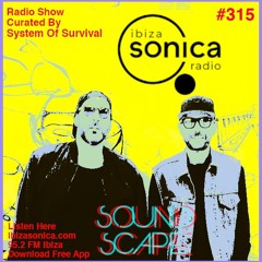 SOundScape #315 System Of Survival