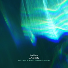 Kapibara - Venustus (Lonya Remix) - Mago Music