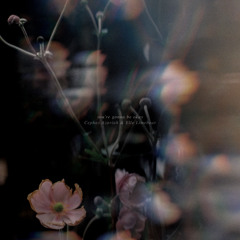 you're gonna be okay