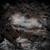 Artwork for Catharsis (Mano Le Tough Remix)