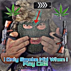 I Only Smoke Mid When I Play CS2