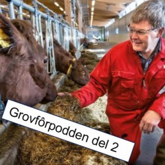 Hvordan legge opp fôringa med ulike grovfôrkvaliteter?