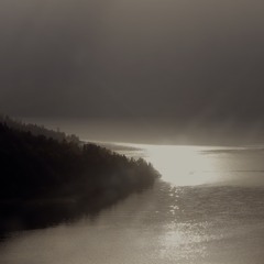Solemente, solo Charango