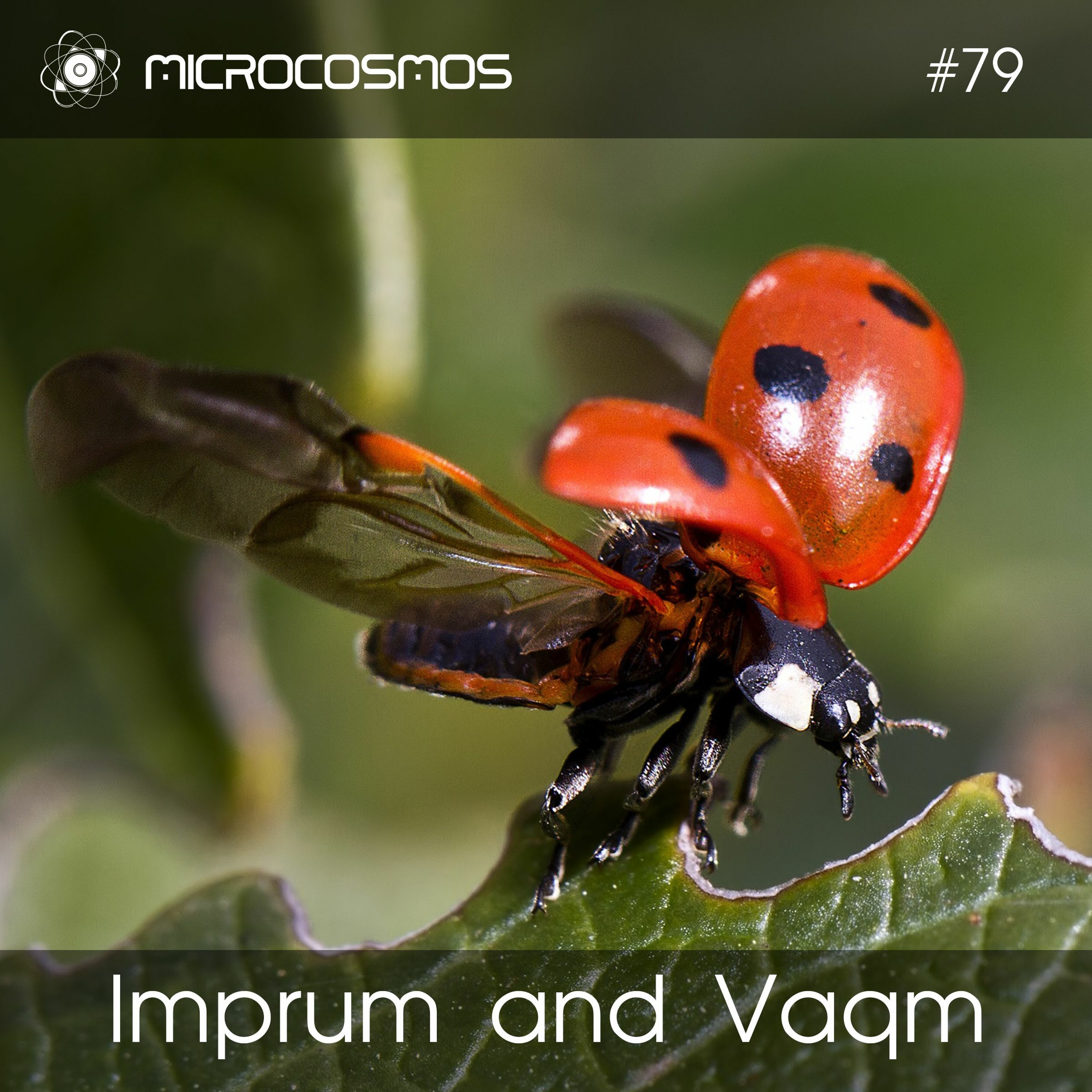 Imprum and Vaqm — Microcosmos Chillout & Ambient Podcast 079