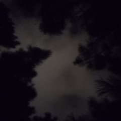 be8-4013-4322-8749-a7086a0e8a13