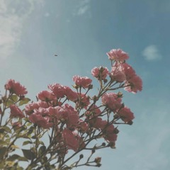 CrySpy - asto