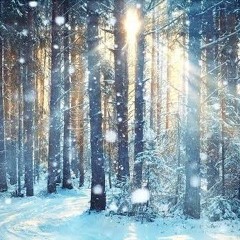 WinterFunk-House mix July 2025