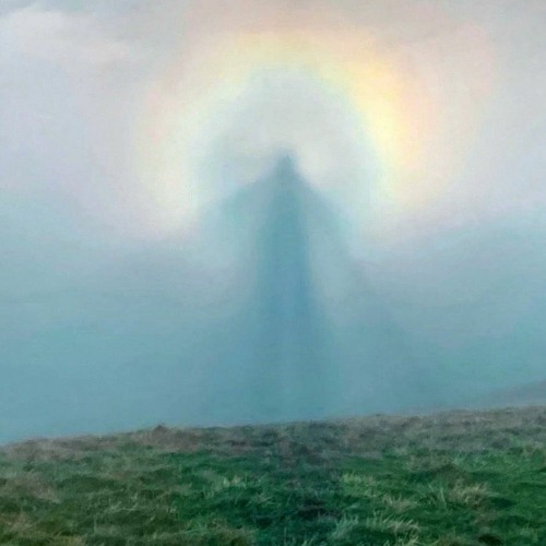 LiL GoDD - TYPE SHIT (feat. Sadzilla, Eddison & K.V.N)