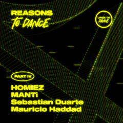 Mauricio Haddad - What You Want (Original Mix) [Snippet]