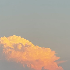 Please Forgive Me v2.mp3