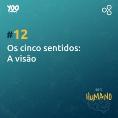 Os cinco sentidos: A Visão