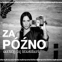 ZA PÓŹNO - KAYAH ale to BASSLINE (homiebart mashup)