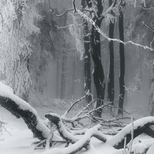 snowman by sia slowed boosted