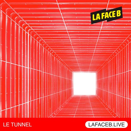 LE TUNNEL #29 - Toltech @ La Face B