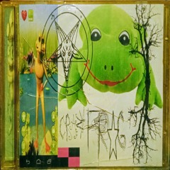 crazyfrogs genital warts extreme terror