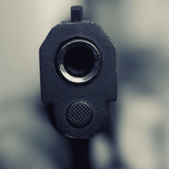 Sv Lul Wholelotta - Just ma gun