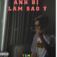 Anh Bị Làm Sao Ý - TEM