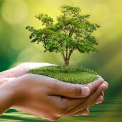 Ecologie de l'homme 2023-06-09 Les vertus