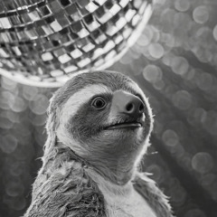 Sloth Getdown