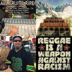 2015 02-10 All Fruits Ripe DJ Spleece