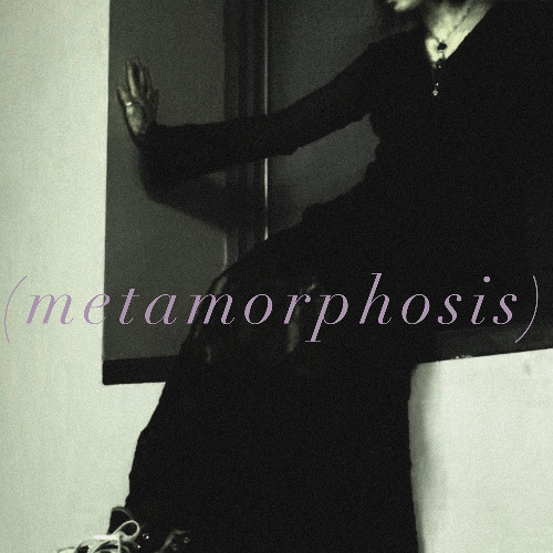 (metamorphosis)